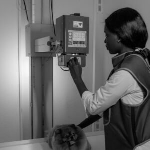 A veterinarian prepares a Pomeranian dog for an x-ray in a medical facility.