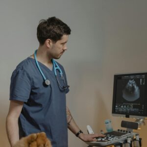 Veterinarian examining a Pomeranian dog with ultrasound equipment in a clinic.